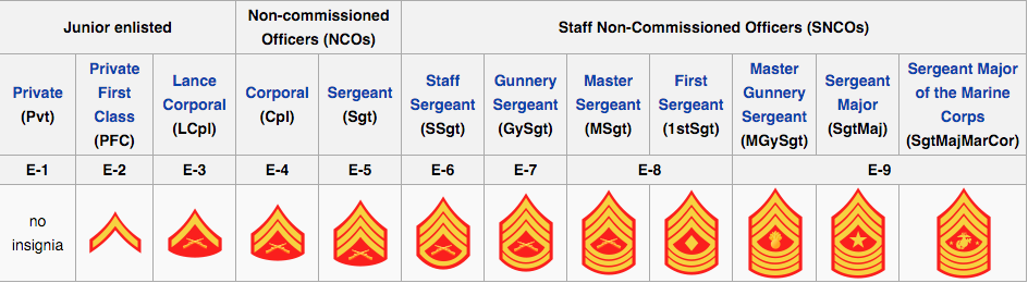 E rank. Enlisted звания. Sgt звание. Звания USMC. Ранги в энлистед.